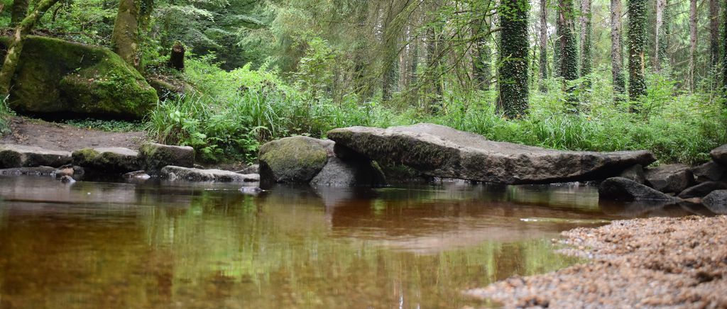Passage de grandes dalles de granit au-dessus de l’eau dans la forêt de Huelgoat